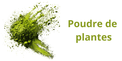 Poudre de plantes